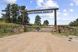 10951 Big Sky Trail - Photo 10