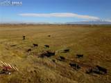  County Road 106 - Photo 8