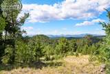 131 Paradiso Road - Photo 44