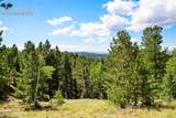 131 Paradiso Road - Photo 45