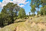 131 Paradiso Road - Photo 46