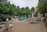 3715 Riviera Grove - Photo 3