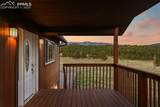 115 White Tail Lane - Photo 3