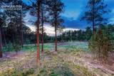16152 Timber Meadow Drive - Photo 39