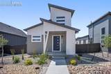 9277 Percheron Pony Drive - Photo 3