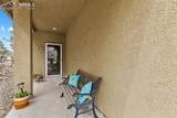 4338 Alder Springs View - Photo 6