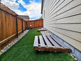 10646 Abrams Drive - Photo 45