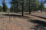 10199 County Road 98 - Photo 27