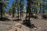 10199 County Road 98 - Photo 29
