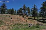 10199 County Road 98 - Photo 31