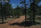 10199 County Road 98 - Photo 34