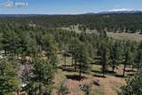 10199 County Road 98 - Photo 36