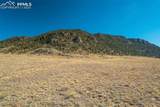 1354 Puma Hills Road - Photo 48