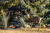 6917 Timbers Drive - Photo 3