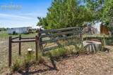 3415 Janitell Road - Photo 24