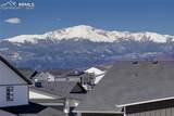 9956 Bison Valley Trail - Photo 3