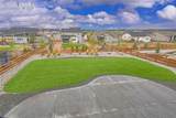 9956 Bison Valley Trail - Photo 46