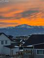9956 Bison Valley Trail - Photo 5