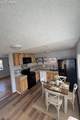 2034 Capulin Drive - Photo 3