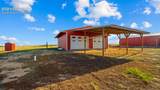 37155 Jones Road - Photo 79