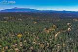 3447 Pathfinder Road - Photo 4