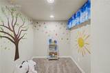 10178 Mt Lincoln Drive - Photo 35