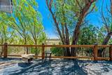 18300 County Road 105 - Photo 26