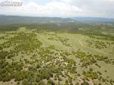 82 Bourbon Trail - Photo 13