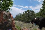 82 Bourbon Trail - Photo 20