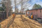 101 Trump Avenue - Photo 21