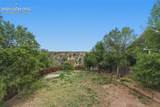 1204 White Stone Way - Photo 33