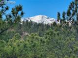 740 Timber Valley Road - Photo 2