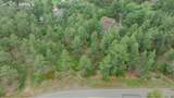 648 Copper Fox Place - Photo 4