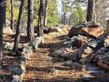 2063 Vagabond Creek Drive - Photo 30