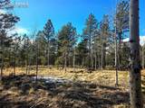 2063 Vagabond Creek Drive - Photo 43