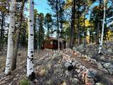 2063 Vagabond Creek Drive - Photo 5