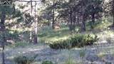 9048 County Road 102 - Photo 16