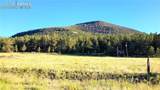 9048 County Road 102 - Photo 4