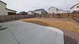 462 Blanket Flower Street - Photo 35