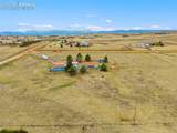13335 Gymkhana Road - Photo 5
