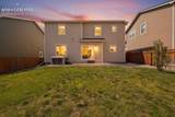 7183 Red Cardinal Loop - Photo 18
