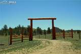 79 Quail Court - Photo 4