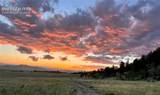 790 Tiara Road - Photo 45