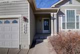 14238 Petrel Drive - Photo 3