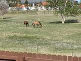 7831 Barraport Drive - Photo 43