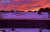 7831 Barraport Drive - Photo 45