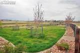 6286 Kildare Drive - Photo 48