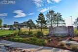 10751 Shavano Peak Court - Photo 2