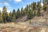  Mountain Ranch Road - Photo 10