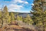  Mountain Ranch Road - Photo 11